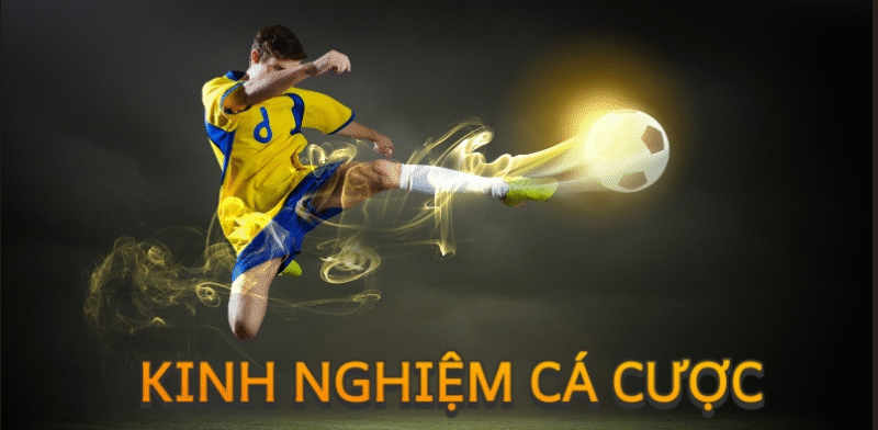 kinh-nghiem-ca-cuoc-bong-da-w88